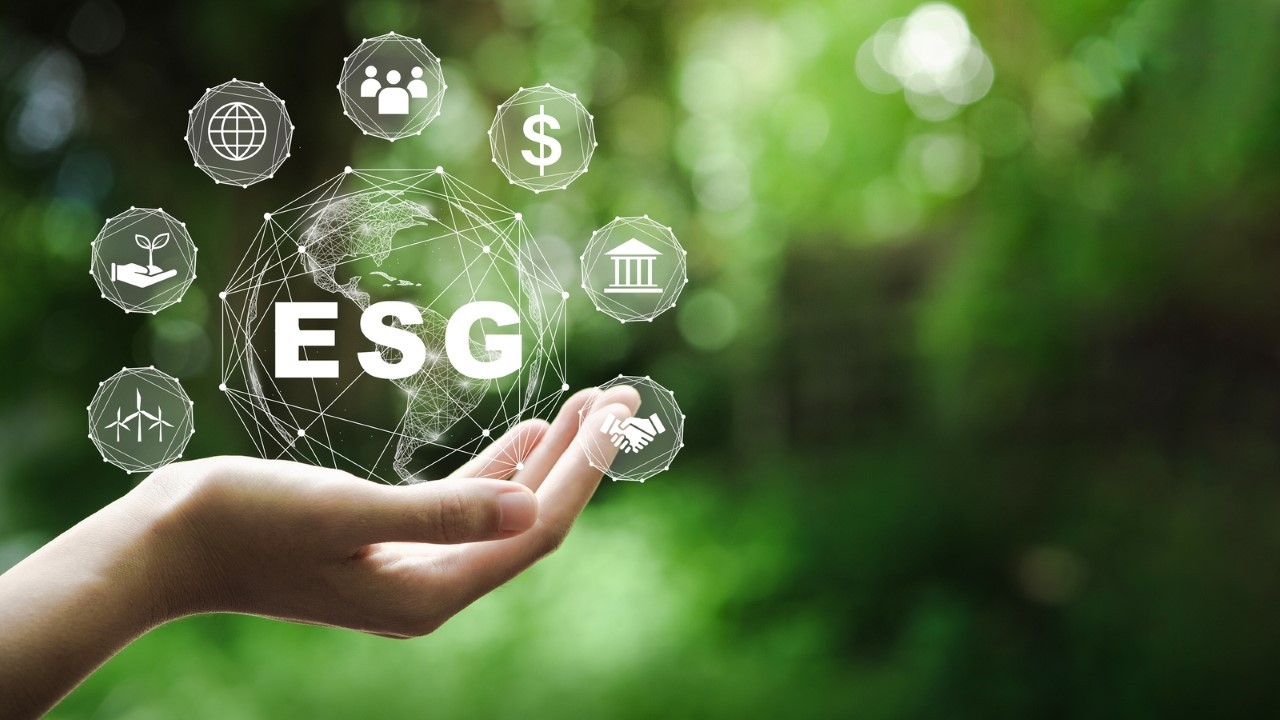 ESG Consulting