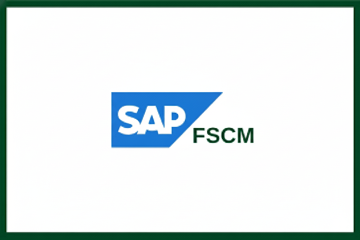 SAP FSCM (Financial Supply Chain Management)